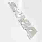 Stainless steel bonnet letters Scania S PRSC308