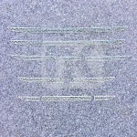 Stainless steel grille screens DAF XF106 PRD210