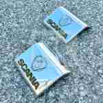 Stainless steel fender cover Scania PRSC148