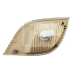 Grille indicator (RH) Mercedes Atego 2/3 9738200621